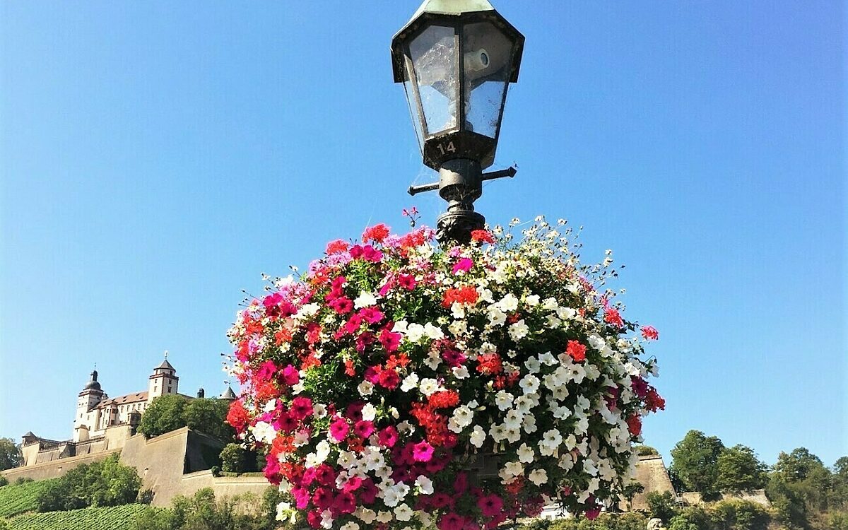 Eine Blumenampel in Würzburg Eine Blumenampel in Würzburg